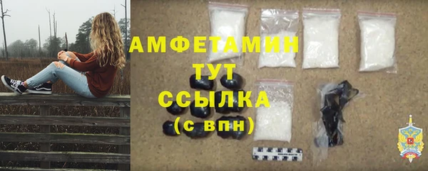 стафф Струнино