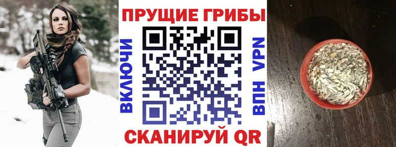 Галлюциногенные грибы MAGIC MUSHROOMS  что такое   Кирово-Чепецк 